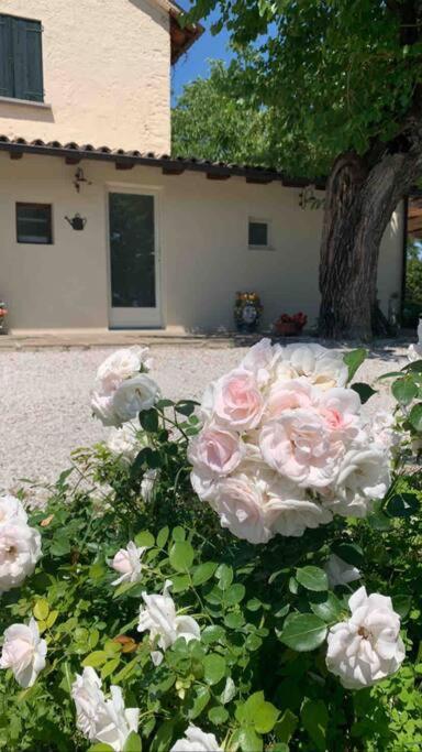 Casa Bellona 몬테벨루나 외부 사진